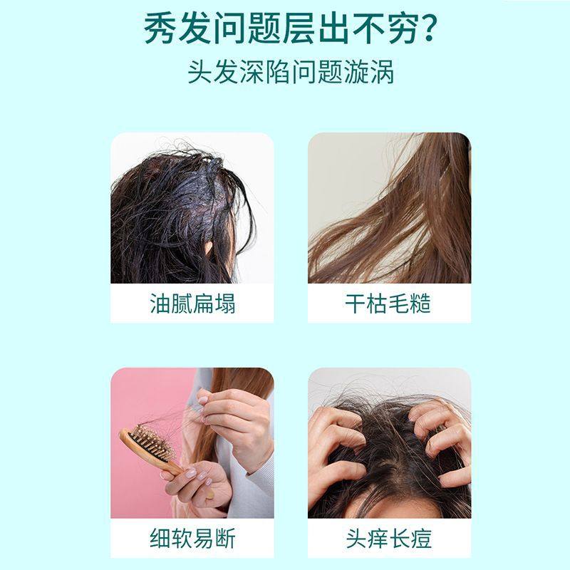 Green Leaf Love Life Kali Shi Refreshing Fluffy Shampoo Oil Control Fluffy Improve Fluffy Deep Cleansing Large Capacity