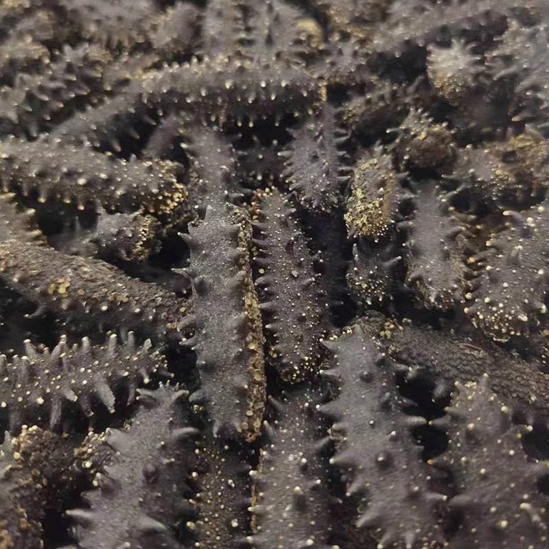 Dalian light dried sea cucumber deep sea bottom sowing high sea cucumber non-instant sea cucumber dry goods gift box sea cucumber 50g sea cucumber sea cucumber