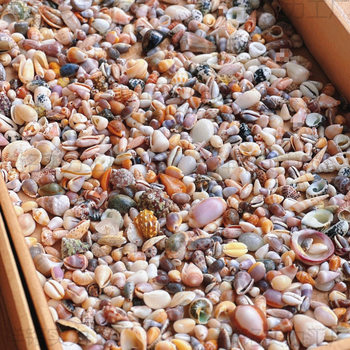 Natural Real Shell Conch Mini Shell Decoration Handmade Shell Photo Frame Storage Box Fish Tank Landscaping