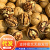 New Walnut Thin-Skinned Paper-Skinned Xinjiang Hand-Peeled Roasted Walnuts Cooked Herbal Flavor Bagged 500g Nut Walnut Wholesale