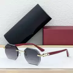 Ct New 2025 Fashion Sunglasses Polygonal Sunglasses Men's High-End Sun Protection Glasses Women's Ct0439S