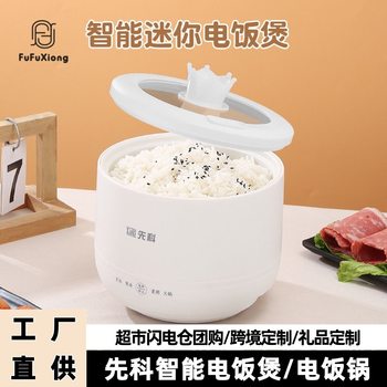 Factory Direct Supply Cross-Border Mini Rice Cooker Household Smart Multi-Functional Small Rice Cooker Porridge Rice Cooker