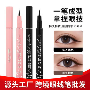 Liquid Eyeliner Pen, Ultra-Fine Tip, Waterproof, Sweat-Proof, Non-Smudged, Long-Lasting, Beginner Eyeliner Pen, Novice-Specific Eyeliner Pen