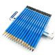 German Schide Building STAEDTLER100 Blue Rod Anti-Broken Core Professional Writing Pencil Drawing Pencil Sketch Pencil