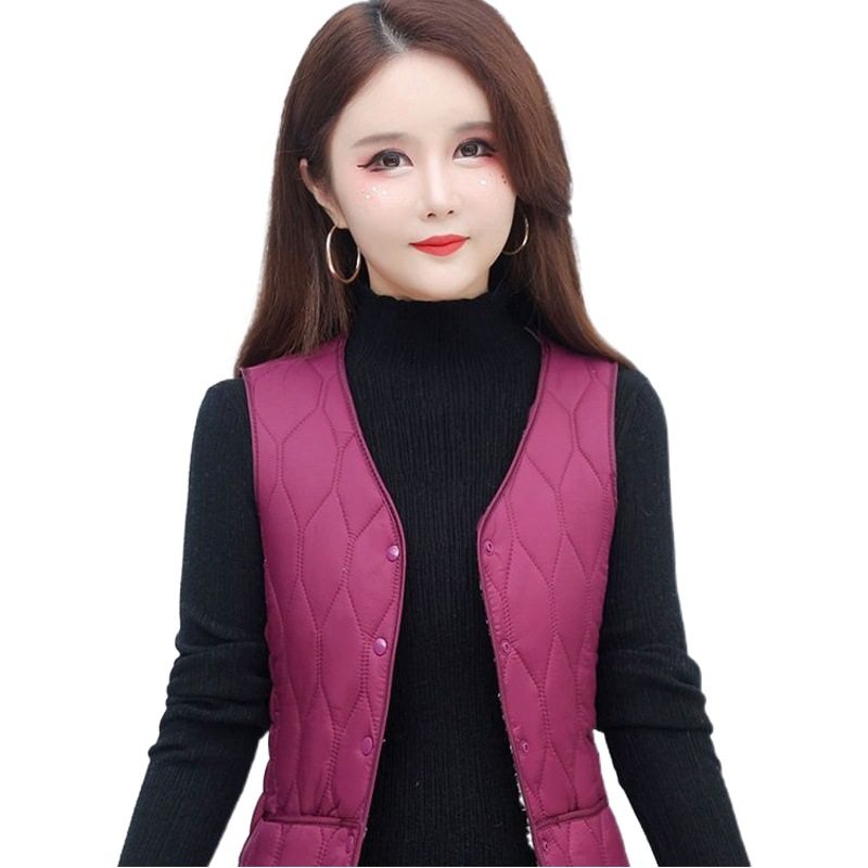 Autumn and Winter new Vest Women's fleece-lined fashion Korean style all-match waistcoat thickened warm inner wear slim outer wear