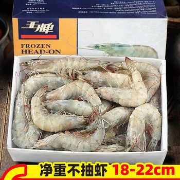 Freshly Frozen Large Shrimp, Sea Shrimp, Ecuadorian Salted Frozen White Shrimp, South American Prawns and Seafood