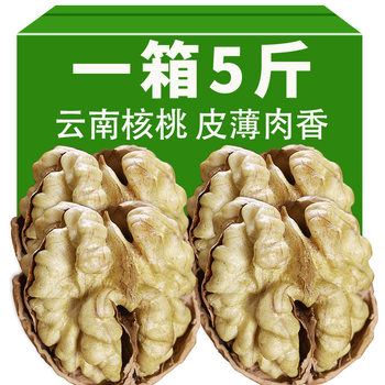 2025 New Arrival Paper-Skinned Walnuts with Thin Skin, Pregnant Mothers Can Eat Yunnan Specialty-Grade Fresh Amber Walnut Kernel Nut Snacks