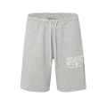 Grey Casual Shorts (Letter)
