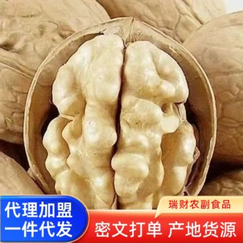 A generation of paper walnuts 2024 new Xinjiang thin-skinned raw walnuts wholesale snacks for pregnant women and children