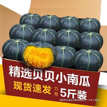 Wholesale Free Shipping Pumpkin Flavor 53 Vegetable Chestnut Mini Pumpkin Fresh Baby Food Supplement Beibei Pumpkin All Year Round