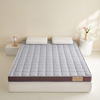Latex Mattress Cushion Household Bedroom Bed Mattress Special Memory Foam Mat for Rental Housing Dormitory Student Single Double Person
