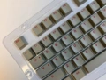 OPQ mini beige Scarlet Letter