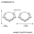 F278-steel color earrings