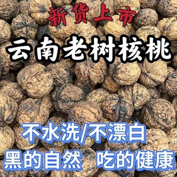 2025 New Yunnan Dried Walnuts Fresh Walnut Kernels Black Walnuts Unbleached Unwashed Original Sun-Dried