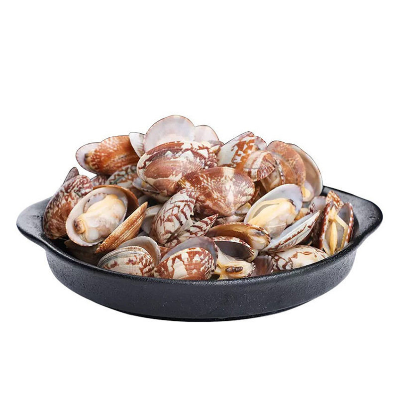 Seafood and Shellfish Frozen Vacuum Sixty-Year-Old Sand-Free Clams Vacuum Clam Barbecue Ingredients Variegated Clam Sixty-Year-Old Powder Commercial