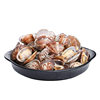 Seafood and Shellfish Frozen Vacuum Sixty-Year-Old Sand-Free Clams Vacuum Clam Barbecue Ingredients Variegated Clam Sixty-Year-Old Powder Commercial