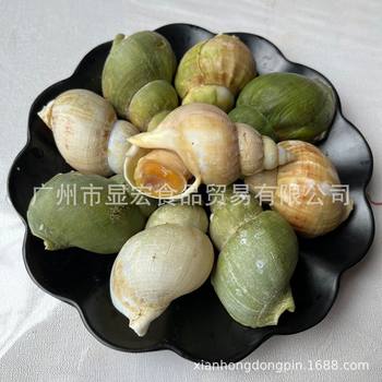 Cooked Frozen Jade Snail Frozen Conch Seafood Aquatic Products Wholesale Japanese and Korean Cuisine