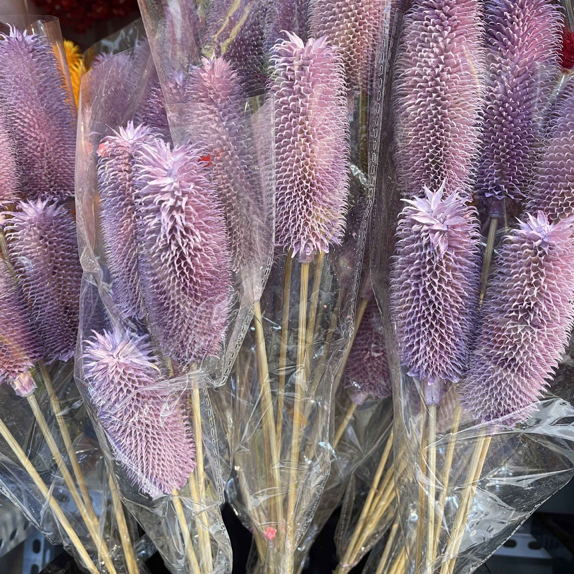 Dried Fruit Flower Arrangement Decorative Ornament Soft Decoration Longevity Fruit Thistle Fruit Home Living Room Photo Prop Artificial Flower