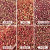 Dried Pepper, Red Pepper, Dahongpao Pepper Powder 500g Bulk 0.5kg Whole Box Catering Commercial Wholesale