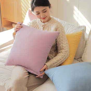 Pure Cotton Pillowcase Sofa Cushion Cover Living Room Bedroom Core-Free Pillowcase Bedside Square Pillowcase New Style