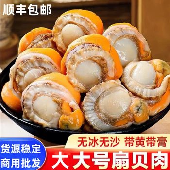 Scallop Meat Hand-Peeled Large Size Ice-Free and Sand-Free Fresh Frozen Vermicelli Garlic with Yellow Seafood Aquatic Products Commercial Sea Snail