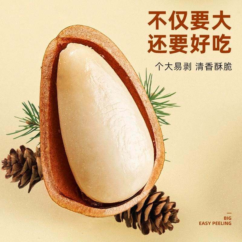 Open Pine Nuts 2023 New Arrival Northeast Premium Extra Large 500g Cream Original Flavor