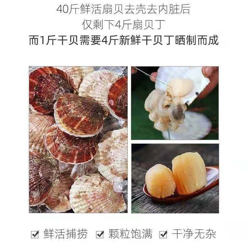 Dried Scallops, Scallops, Dried Scallops, Wild Scallops, Scallops, Seafood and Aquatic Products