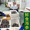 Guofude Fresh Sea Cucumber Ready-To-Eat Source Factory Wholesale Large Stock 500g Sea Cucumber