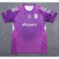 2526 purple goalkeeper player