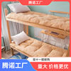 Thickened Cashmere Mattress Cushion Household Tatami Dormitory Single Student Dormitory Bed Sponge Mattress Quilt