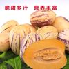 Ginseng Fruit Seeds, Longevity Fruit Seeds, Ornamental Edible Fruit Seeds, Vegetable Seeds, Balcony Potted Plants, Four-Season Nutrition