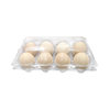 Factory Direct supply disposable plastic egg packing box duck egg tray transparent blister box soil egg tray