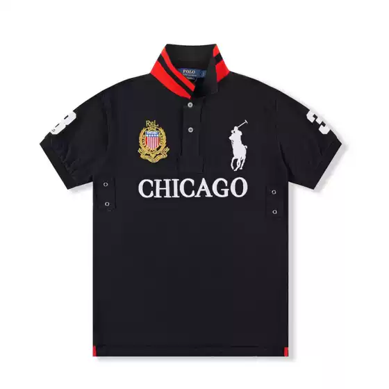 Summer Hot-Selling Cross-Border Polo Shirt with Embroidered Collar, Malaysian City Style, Casual Oversized Top, Short-Sleeve Polo T-Shirt