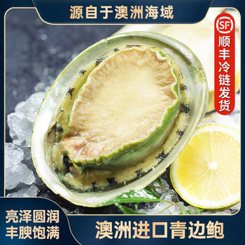 Australian Green-Edged Abalone Imported Large Abalone Fresh Abalone Fresh Japanese Sashimi Sushi Green-Edged Abalone Whole Box for Sale Wholesale