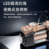 Car Air Pump Portable Lighting Air Pump Car Electric Tire Pressure Gauge High-Power Luxury Gold Double-Cylinder Air Pump