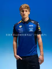 New Hot-Selling European and American Off-Road Cycling Racing Clothing Downhill Mountain Bike Road Motorcycle Polo Shirt T-Shirt
