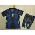 2627 brazil away game