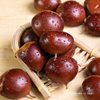Fresh and Tender Chestnuts, Seasonal Farm Non-Chestnut New Cone Chestnuts, Wild Hairy Chestnuts, Raw Fresh Small Oil 2025