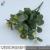 12-дюймовый европейский денежный лист DMY grass green