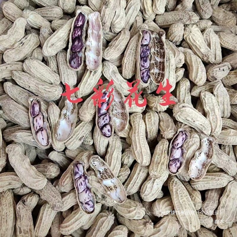 Longyan Wet Roasted Colorful Peanuts in Shells Cooked Fresh Fujian Longyan Specialty Gift Salty Dry Snacks
