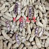 Longyan Wet Roasted Colorful Peanuts in Shells Cooked Fresh Fujian Longyan Specialty Gift Salty Dry Snacks