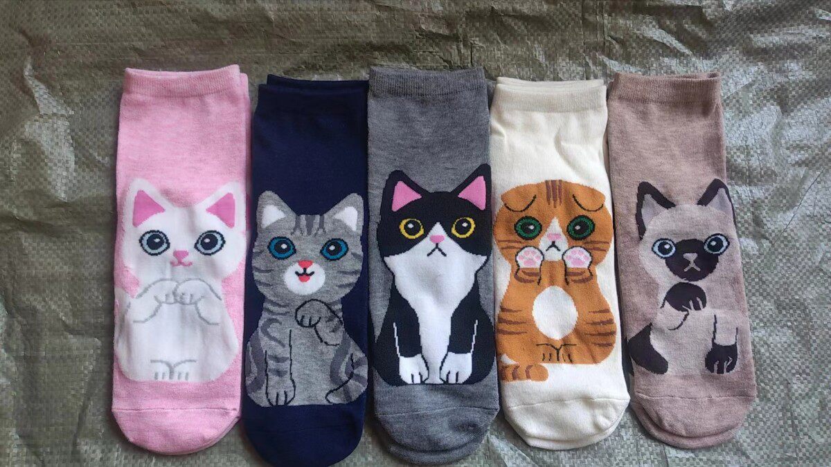 春秋新款卡通直板狗中筒袜棉质袜子女 诸暨厂家批发