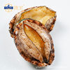 Manufacturer Wholesales Seafood, Extra-Large Abalone, Seafood for Buddha's Leap Wall Dish, Seafood Soup, Seafood in Sauce, Fresh Large Abalone, Wild-Caught