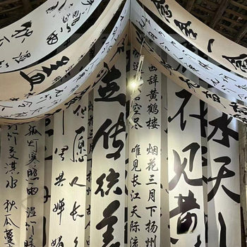 New Chinese Calligraphy Gauze Curtain Text Ancient Style Chinese Style Curtain National Style Background Cloth Brush Calligraphy Photo Ceiling Decoration
