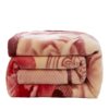 Winter Raschel Blanket Double Thick Warm Thick Blanket Cover Blanket Cover Sofa Blanket Blanket Gift Wholesale