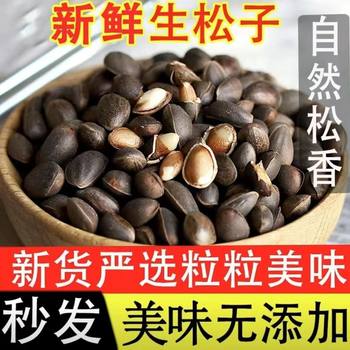 Fresh Pine Nuts from Yunnan, Original Flavor, Large Kernels, Snacks, Nuts, Original Flavor, New Pine Seeds, Not from Northeast China