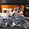 Double-layer blanket padded coral fleece winter lamb fleece blanket 5060 cross-border flannel composite blanket generation