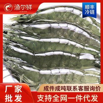 Large Shrimps, Domestic Shrimps, Base Shrimps, Frozen Shrimps, Fresh White Shrimps, Sea Shrimps, Cold Chain Transportation