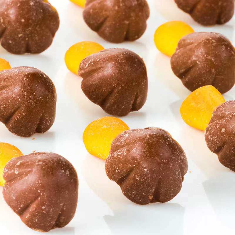 Haoliyou mushroom biscuit 48g chocolate mushroom head hazelnut children's casual snacks snack gift