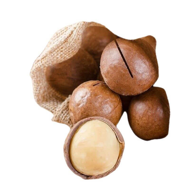 Macadamia Nuts Wholesale Starting from 5kg Whole Box of Nut Cream Flavored Bulk Snacks Recommended by Internet Celebrities 2023 New Arrivals